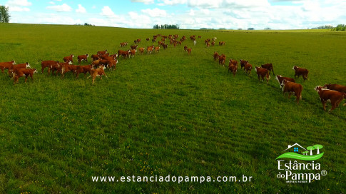 DOS EÓLICOS VIRA P FAZENDA_Moment.00_09_17_24.Quadro273_2e72a0baee1fe1205ae17cce36acbb770bc281c7.jpg